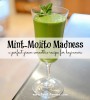 Mint Mojito Smoothie