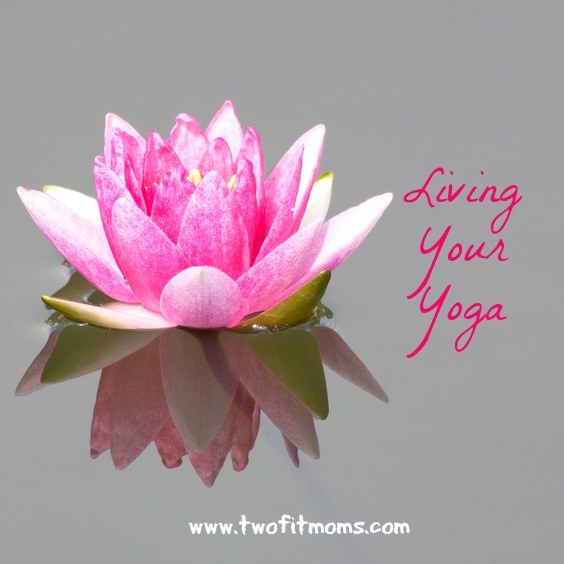 Image of a lotus flower on the water