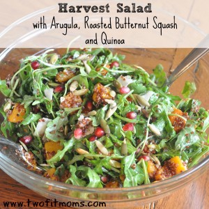 harvest salad square
