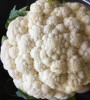 cauliflowerhead