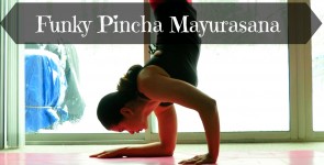 Funky Pincha Mayurasana