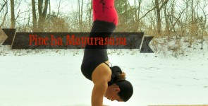 Pincha Mayurasana
