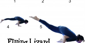 Flying Lizard:  A Step-By-Step Tutorial
