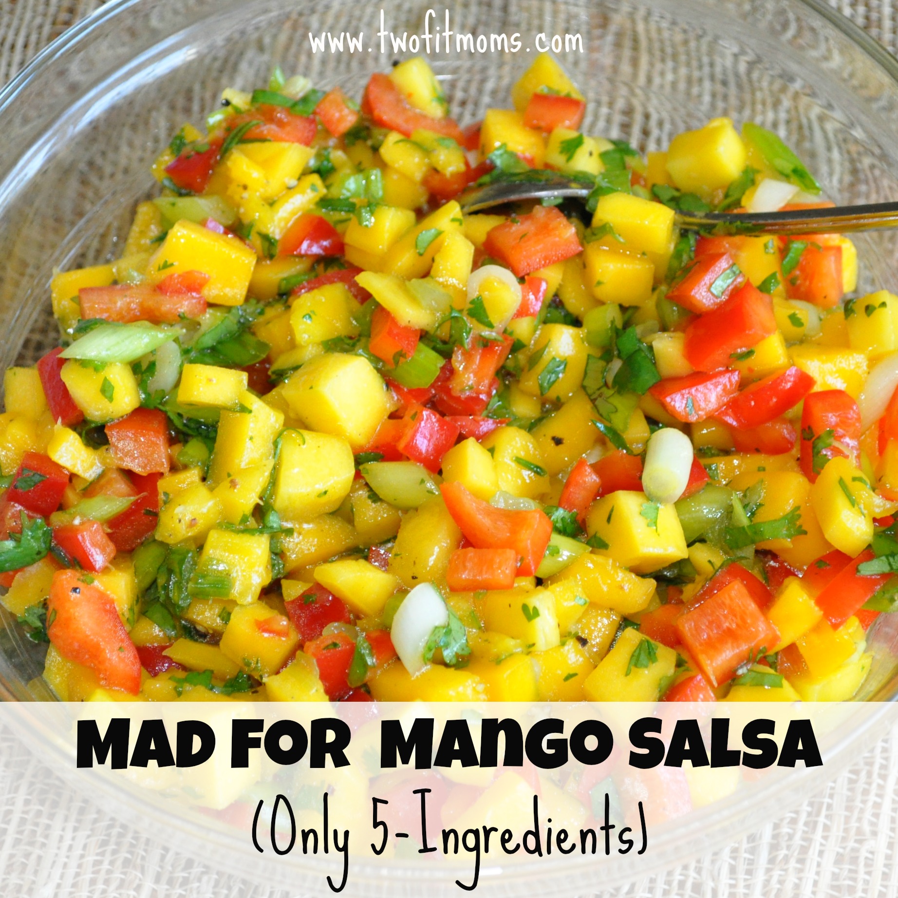 Two Fit Moms » Mad for Mango Salsa