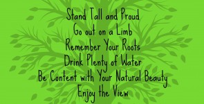 Advice from a Tree: Looking for Unexpected Sources of Inspiration