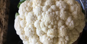 Penne with Cauliflower Ragu